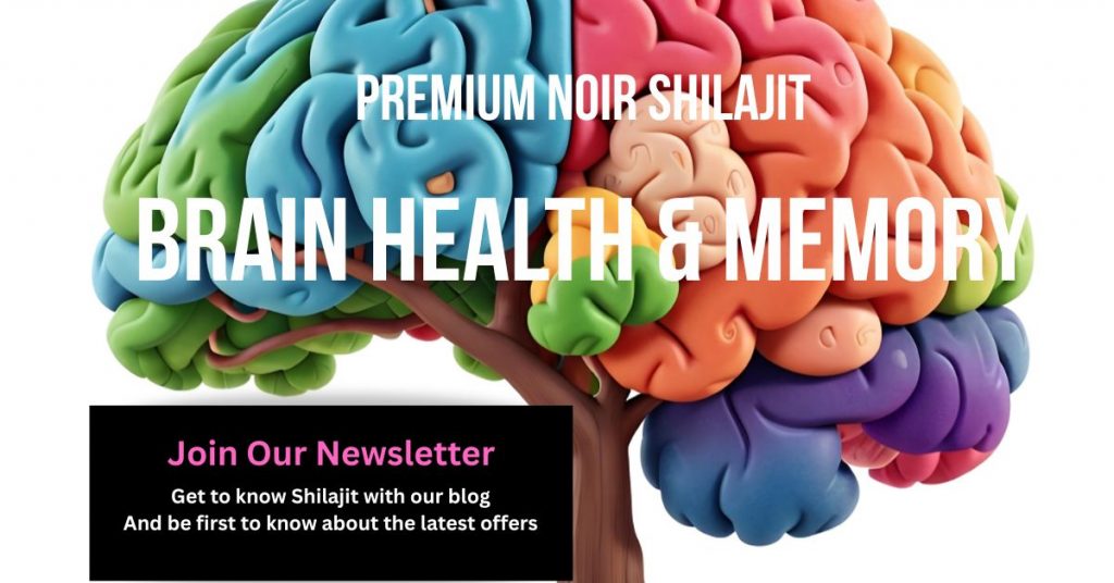 Image of a a brain in differenct coloured sections rising up from a tree trunk.