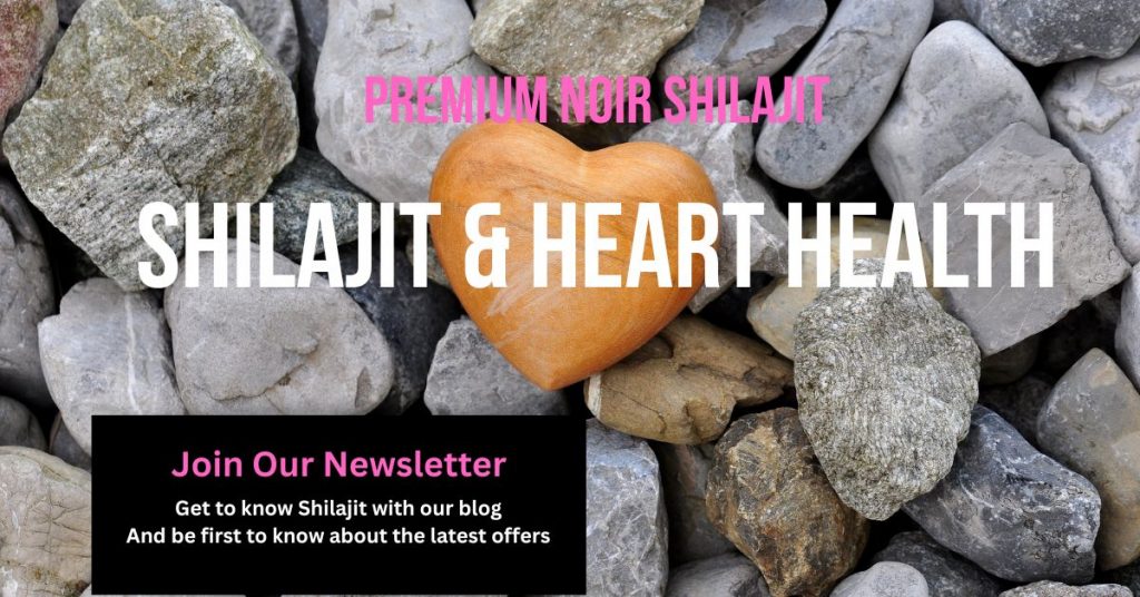A heart shaped out of wood on a background of small rocks. With the text Shilajit and Heart Health