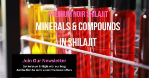 Test tubes with coloured fluid with text across image which says 'Minerals and Compounds in Shilajit'
